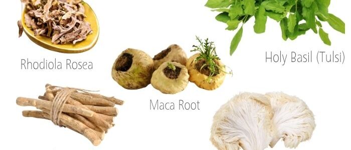 adaptogens that pair perfectly with matcha